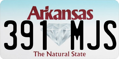 AR license plate 391MJS