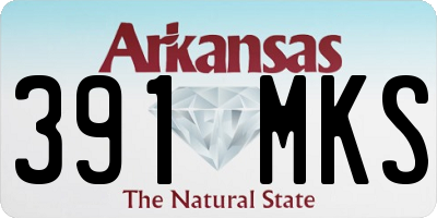 AR license plate 391MKS