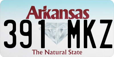 AR license plate 391MKZ