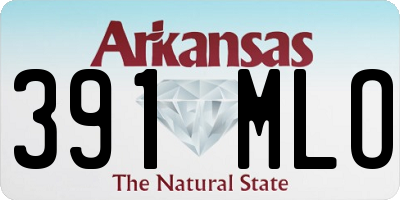 AR license plate 391MLO