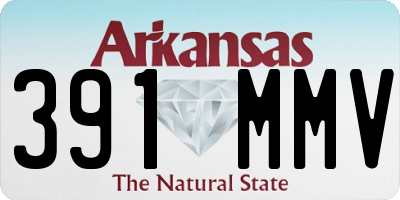 AR license plate 391MMV
