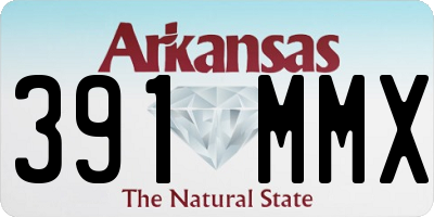 AR license plate 391MMX