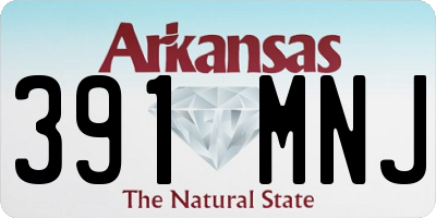AR license plate 391MNJ