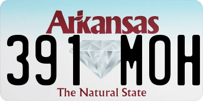 AR license plate 391MOH