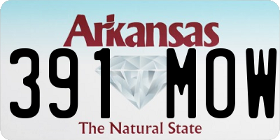 AR license plate 391MOW