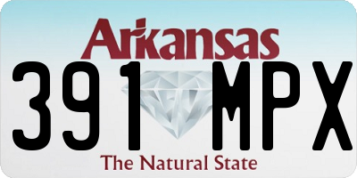 AR license plate 391MPX