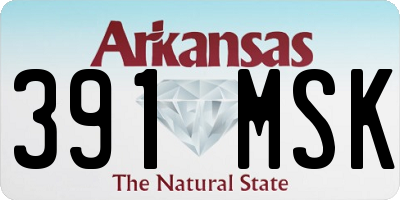 AR license plate 391MSK