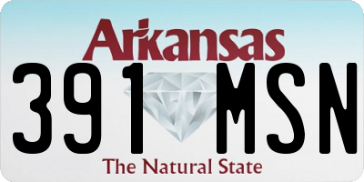 AR license plate 391MSN