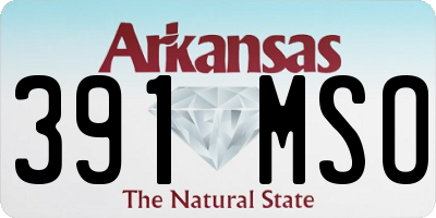 AR license plate 391MSO
