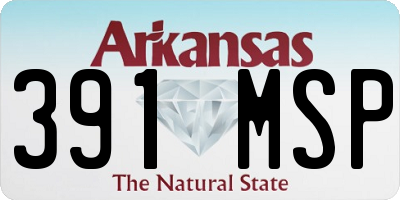 AR license plate 391MSP