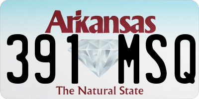 AR license plate 391MSQ