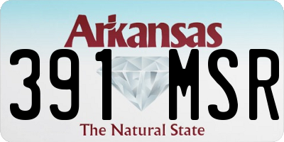 AR license plate 391MSR