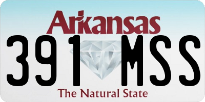 AR license plate 391MSS