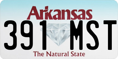 AR license plate 391MST