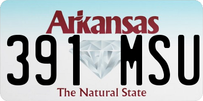AR license plate 391MSU