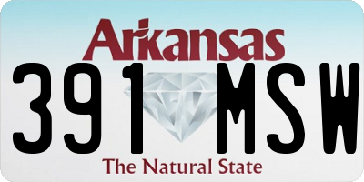 AR license plate 391MSW