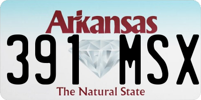 AR license plate 391MSX
