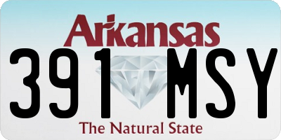 AR license plate 391MSY