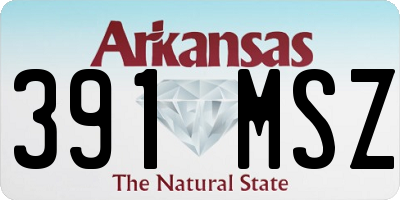 AR license plate 391MSZ