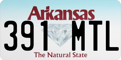 AR license plate 391MTL