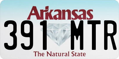 AR license plate 391MTR