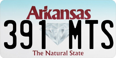 AR license plate 391MTS