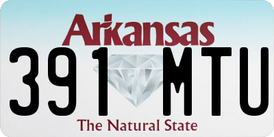 AR license plate 391MTU
