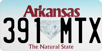 AR license plate 391MTX