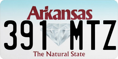 AR license plate 391MTZ