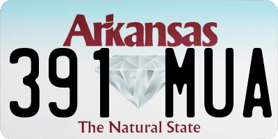 AR license plate 391MUA
