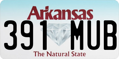 AR license plate 391MUB