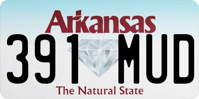 AR license plate 391MUD