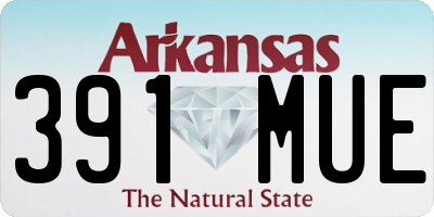 AR license plate 391MUE