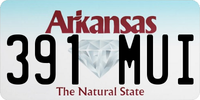 AR license plate 391MUI
