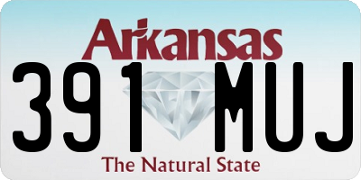 AR license plate 391MUJ
