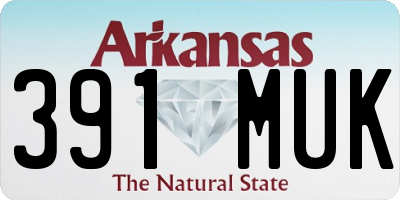 AR license plate 391MUK