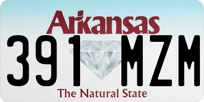 AR license plate 391MZM