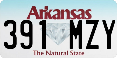AR license plate 391MZY