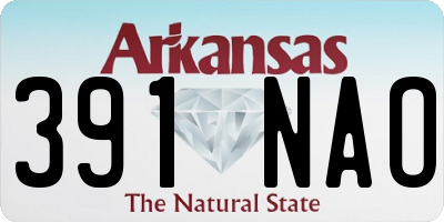 AR license plate 391NAO