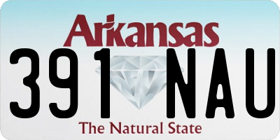 AR license plate 391NAU