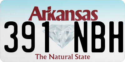 AR license plate 391NBH