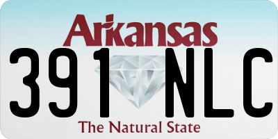 AR license plate 391NLC