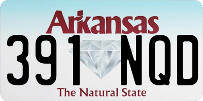 AR license plate 391NQD