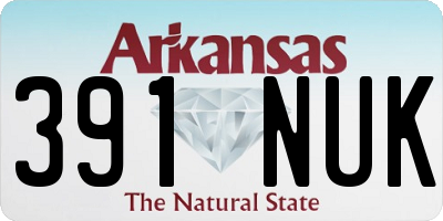 AR license plate 391NUK