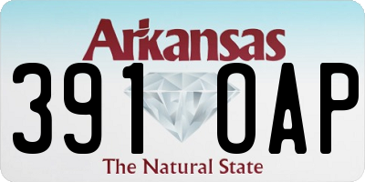 AR license plate 391OAP