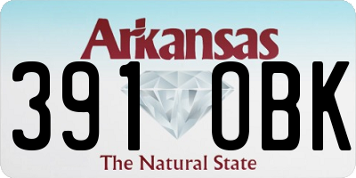 AR license plate 391OBK