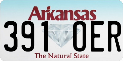 AR license plate 391OER
