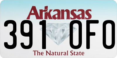 AR license plate 391OFO