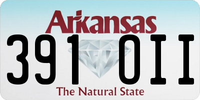AR license plate 391OII