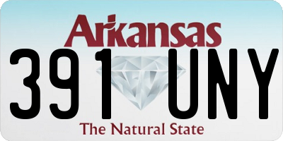 AR license plate 391UNY
